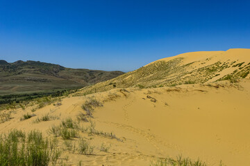 Sand dunes of the Sarykum dune. A natural monument. Dagestan. Russia.