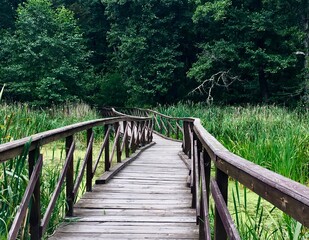 wooden bridge in the woods
