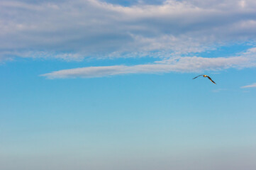 Light cloud with a blue sky background