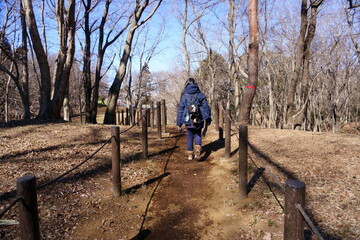 公園を散歩する女性の後ろ姿