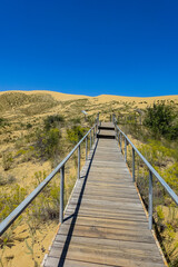 Obraz premium Sand dunes of the Sarykum dune. A natural monument. Dagestan. Russia.