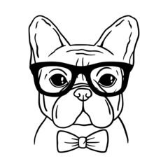 French bulldog black and white hand drawn portrait. French bulldog face in line. Dog head with glasses and  bowtie. Cute muzzle French Bulldog.