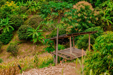 Natural background of the atmosphere in the garden house, surrounded by rice fields, plants, rice fields, reservoirs, and there is a seat to relax and watch the wind blowing through the cool blur.