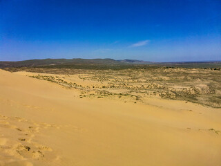Fototapeta na wymiar Sand dunes of the Sarykum dune. A natural monument. Dagestan. Russia.