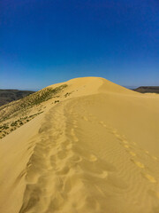 Sand dunes of the Sarykum dune. A natural monument. Dagestan. Russia.