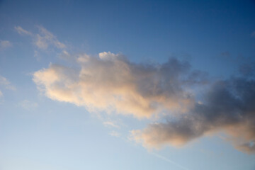 Naklejka na ściany i meble cloud at sunrise in the blue sky, background