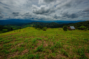 The natural background of the decoration of the park or the ornamental garden, the atmosphere is surrounded by many plants, for people to sit and relax while traveling.
