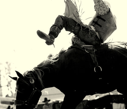 Cowboy On Bucking Horse