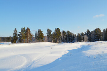 Fototapeta na wymiar Winter Field and Forest Scenery
