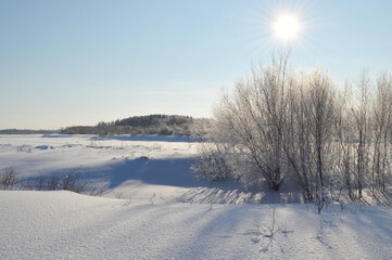 Fototapeta na wymiar Bushes on the River Bank under Snow