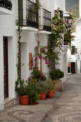 Fototapeta na wymiar Typical streets of Frigiliana. White houses, flowers, cobbled streets and magical corners.