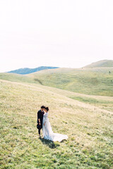 Bride and groom are standing on a green lawn against the backdrop of mountains