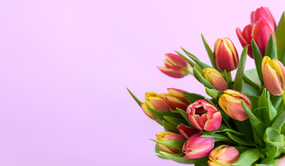 Spring flowers. Banner-a bouquet of pink and yelloy tulips on a pink background. Congratulations on International Women's Day, March 8, birthday, mother's Day. Copy space. Mock up. Soft focus.