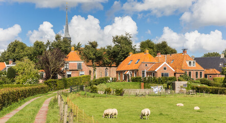 Panorama of sheep in the meadow near Niehove, Netherlands