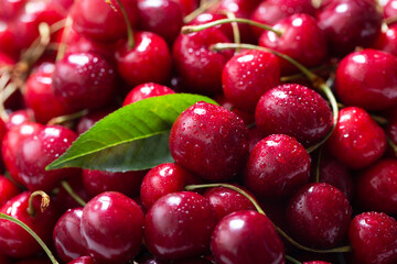fresh ripe cherries as background