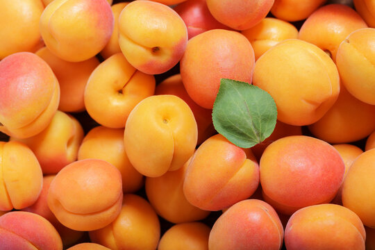 fresh ripe apricots as background
