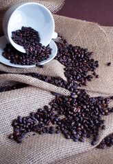 coffee beans on natural background 