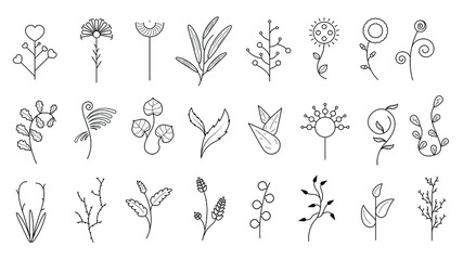 Abstract Set Doodle Elements Hand Drawn Collection Botanic Herbal Flora Leaf Branch Vine Flower Plant Elements F Vector Desgin Style