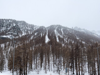 Empty road in the middle of a forest during winter season