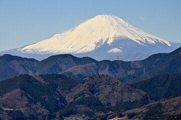 Fototapeta premium 神奈川県秦野市の菜の花台より望む富士山 神奈川県秦野市 菜ノ花台より富士山、左が高松山、西ヶ尾 