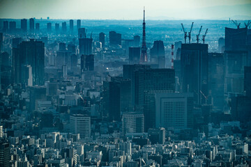 東京のビル群と夕暮れの空