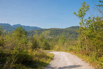 Fototapeta na wymiar bike route through Eschenloher Moos moor landscape, upper bavaria