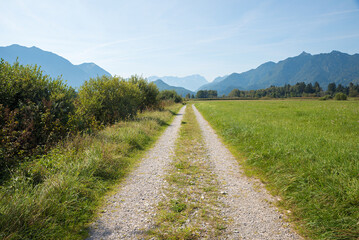 Fototapeta na wymiar bike route through moor landscape near Ohlstadt, upper bavaria