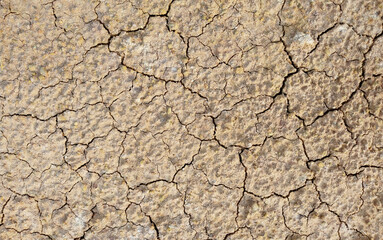Cracked ground background in the top view for graphic design or wallpaper