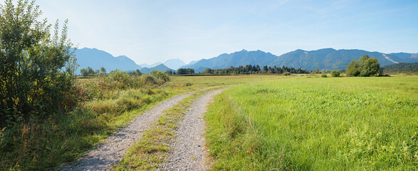 bike route through moor landscape near Ohlstadt, upper bavaria