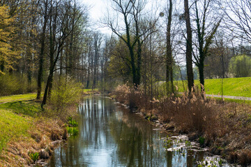 Rheinniederungs Kanal Landschaft bei Iffezheim