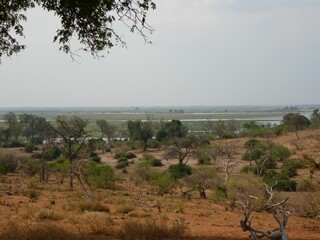 Obraz premium Panoramic view of Chobe National Park, Botswana