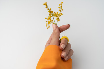 Close shot of a thin graceful hand of a girl with a nude spring trendy manicure and a big ring on her finger and yellow dried flowers in an orange jacket on a white background