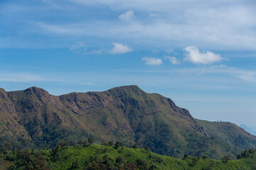 beautiful view on top mountain at Khao Chang phueak, Thongphaphum National Park, Kanchanaburi Province, Thailand. Subject is blurred, noise and color effect.