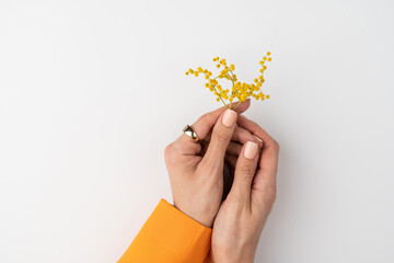 Close shot of a thin graceful hand of a girl with a nude spring trendy manicure and a gold ring on her finger and yellow dried flowers in an orange jacket on a white background