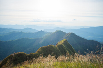 beautiful view on top mountain at Khao Chang phueak, Thongphaphum National Park, Kanchanaburi Province, Thailand. Subject is blurred, noise and color effect.
