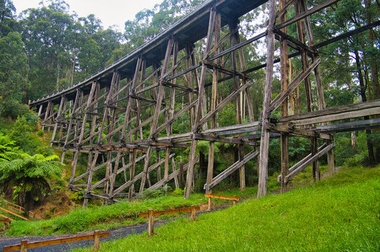 The historical wooden Noojee Trestle Bridge, near Warragul, Gippsland, Victoria, Australia
