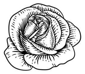 Rose Flower Vintage Woodcut Drawing