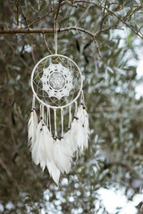 White dreamcatcher hanging from a tree