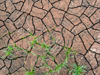 brick pattern texture on the floor in the park It looks like cracked soil gives a feeling of drought. The background gives a feeling of drought.