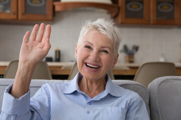 Fototapeta na wymiar Happy excited senior retired lady enjoying video call talk, waving hand hello, looking at camera, webcam, smiling, laughing, sitting on couch at home, speaking. Communication .Head shot portrait