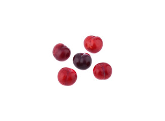 Red Plum fruit isolated on white background.