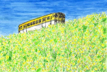 Foto op Plexiglas 菜の花の咲く土手と列車 © Takasshan