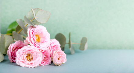 Beautiful summer and spring banner for a website with a bouquet of pink roses and eucalyptus on the light green background