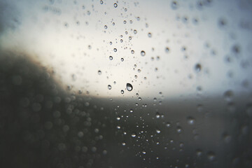 雨上がり 雨粒