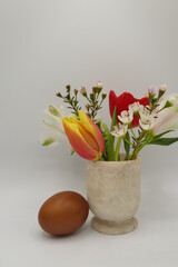 tulip flowers and brown egg as decoration for easter or spring against white background