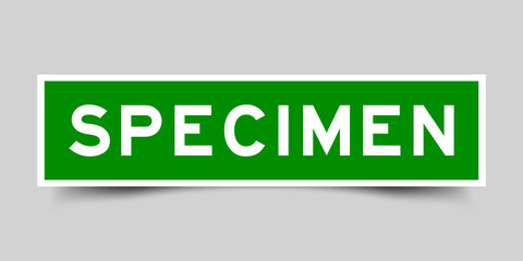 Sticker label with word specimen in green color on gray background
