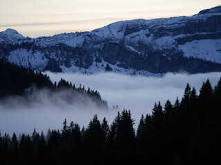 Fototapeta premium Nebel in den Bergen