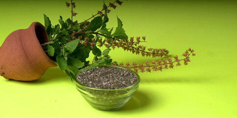 Holy basil, tulasi or tulsi, is an aromatic perennial plant in the family Lamiaceae.Tulsi is kept...