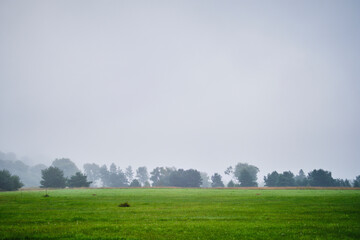 Fototapeta na wymiar field with trees in morning mist
