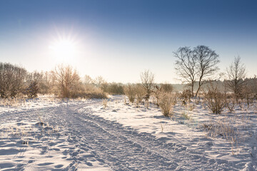 snowy landscape in the Netherlands with blue sky in winter